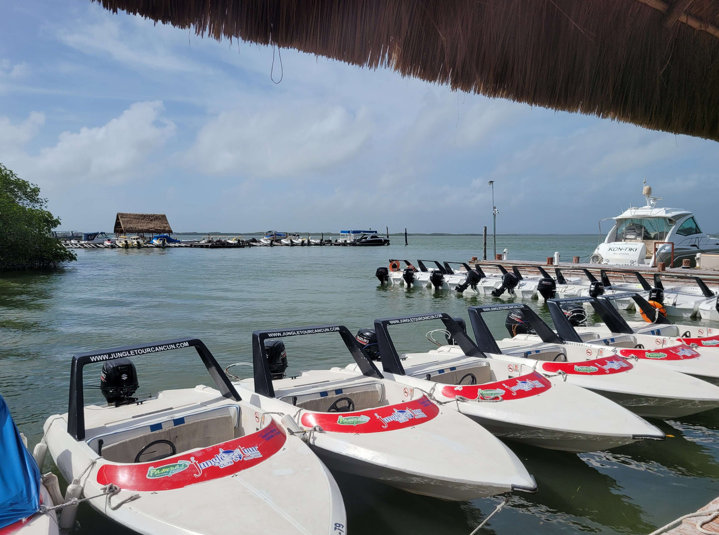 JUNGLE TOUR CANCÚN EN LANCHA RÁPIDA CANCUN
