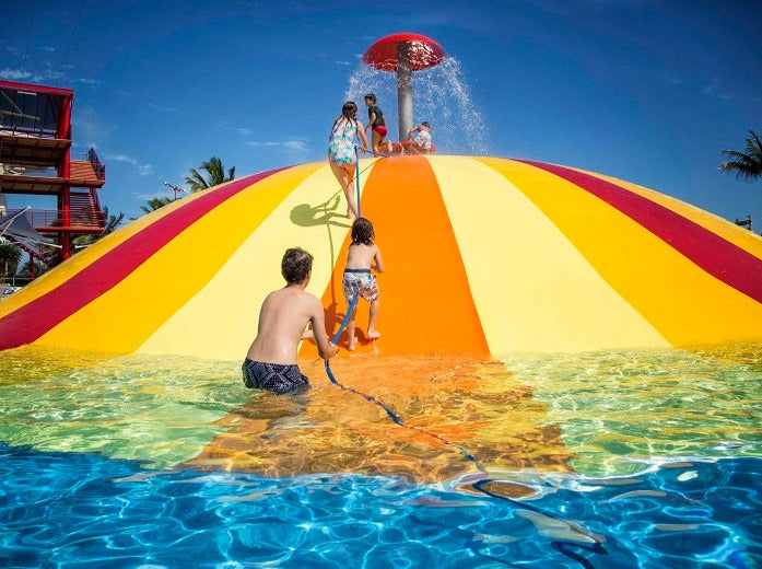 INTERACCION CON DELFINES Y VENTURA PARK CANCÚN
