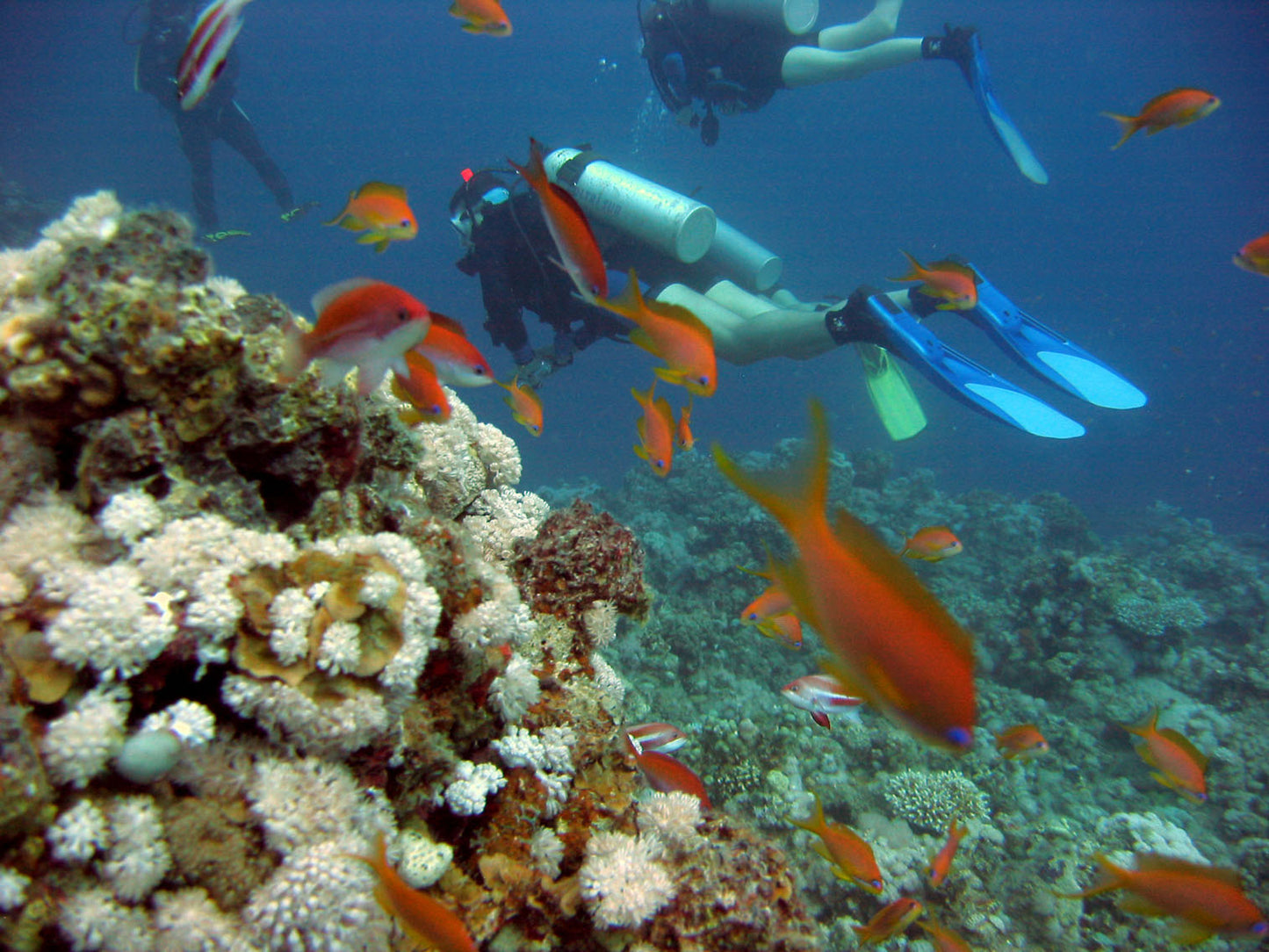 TOUR ACUARIO MAGICO SAN ANDRES