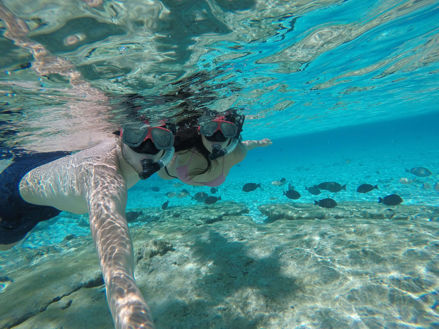 TOUR ACUARIO MAGICO SAN ANDRES
