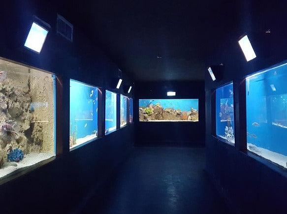 PLAYA BLANCA Y ENTRADA AL ACUARIO SANTA MARTA
