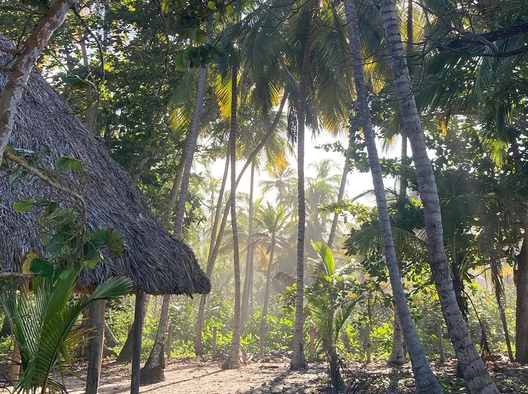 TOUR BURITACA SANTA MARTA