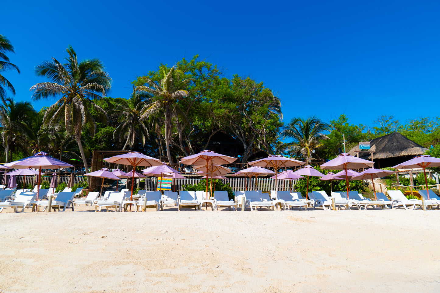 Dia De Playa En Luxury Beach Club - Cartagena 10.