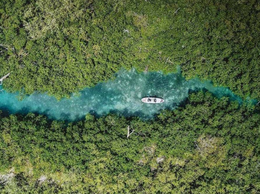JUNGLE TOUR CANCÚN EN LANCHA RÁPIDA CANCUN