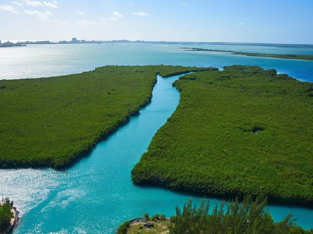 JUNGLE TOUR CANCÚN EN LANCHA RÁPIDA CANCUN