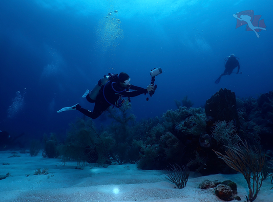 Minicurso De Buceo - Cartagena 2