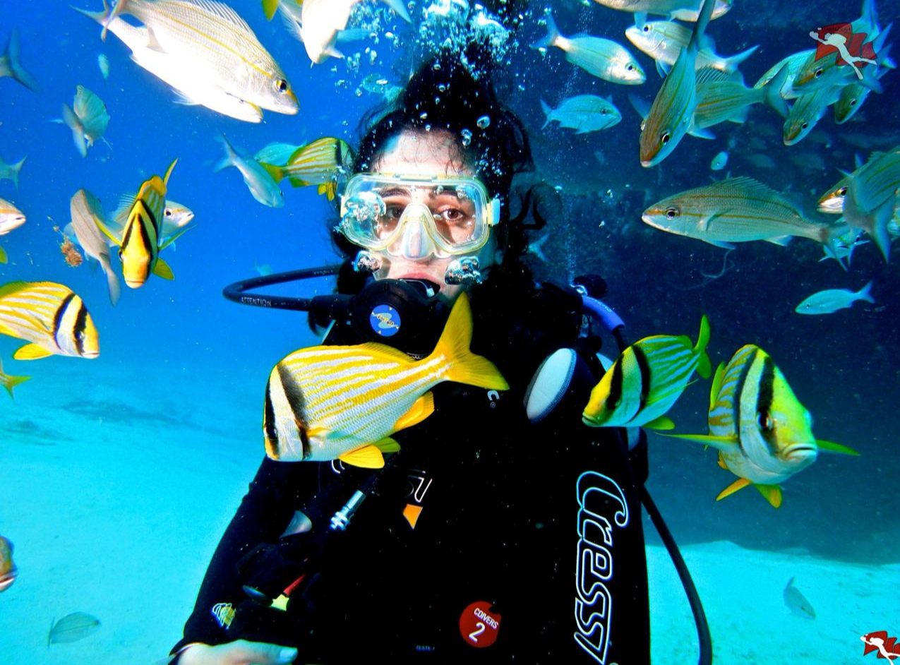 Minicurso De Buceo - Cartagena 3