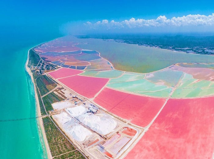 RIO LAGARTOS - COLORADAS CANCÚN