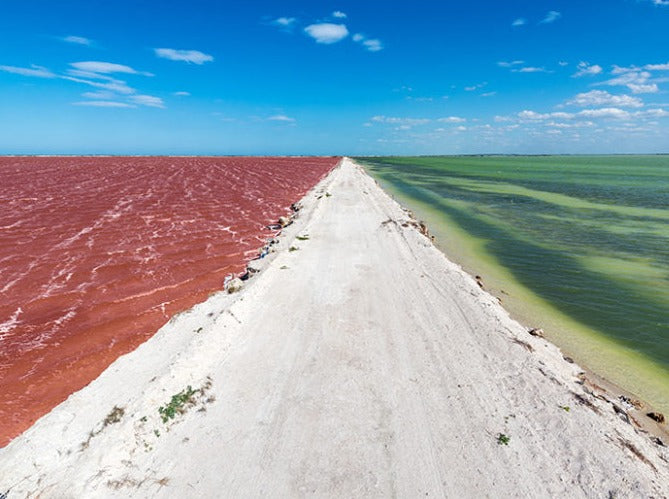 RIO LAGARTOS - COLORADAS CANCÚN