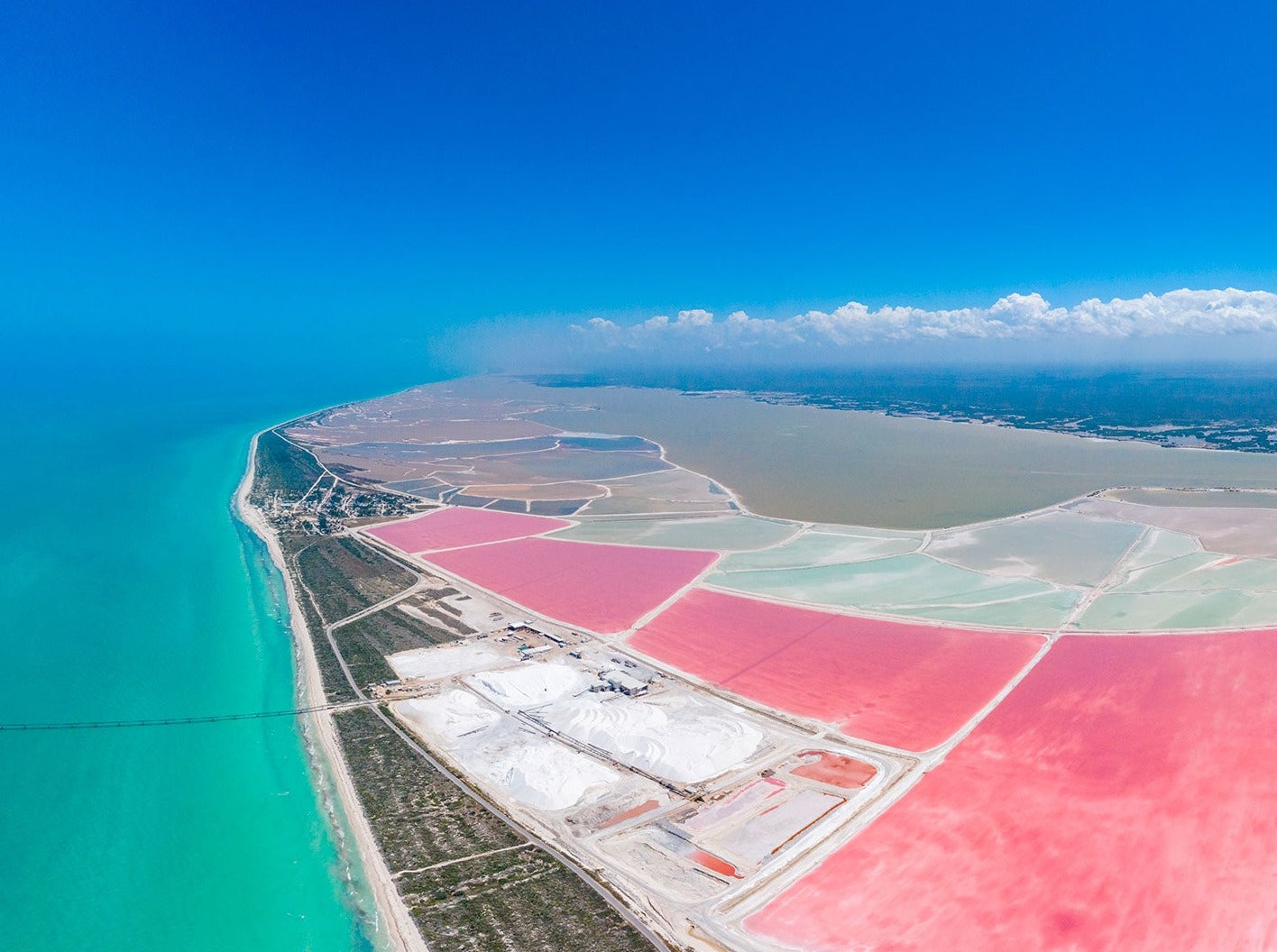 RIO LAGARTOS - COLORADAS CANCÚN