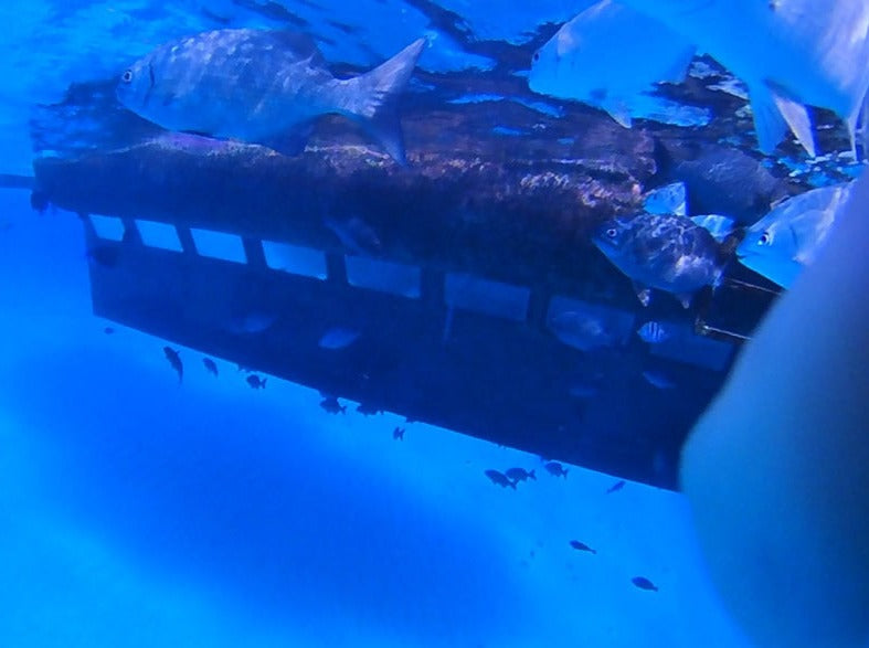 SEMI SUBMARINO NAUTILUS