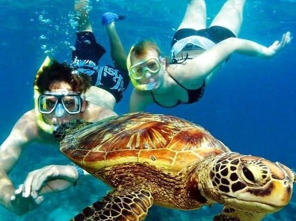 SNORKELING SAN ANDRES