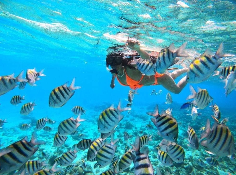 SNORKELING SAN ANDRES