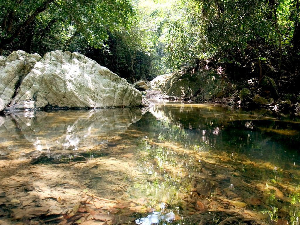 VALENCIA AND BURITACA GORGE