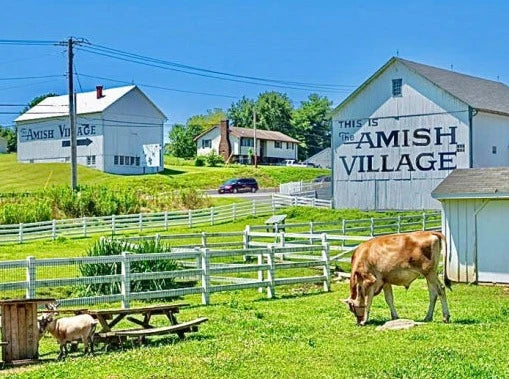 PHILADELPHIA AND AMISH COMMUNITY TOUR