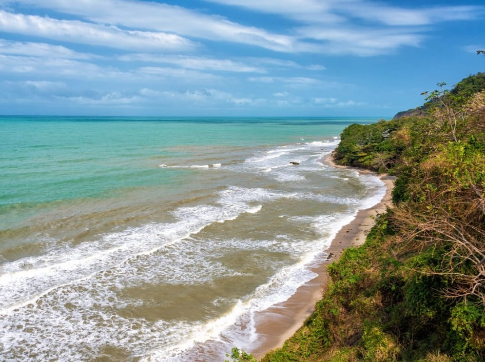 PALOMINO, PUEBLO KOGUI Y SEWIAKA