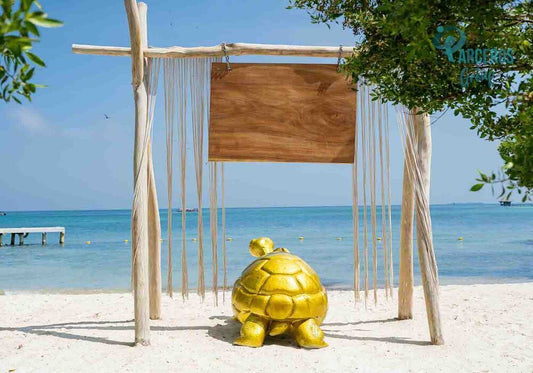 Tour De Playa En Pao Pao Beach Club - Cartagena 2.