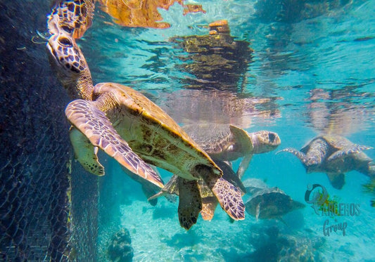 Tour Por Islas Del Rosario - Cartagena