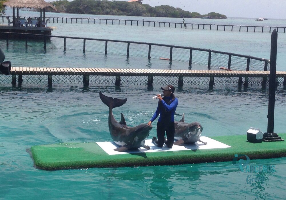 Tour Por Islas Del Rosario - Cartagena 13
