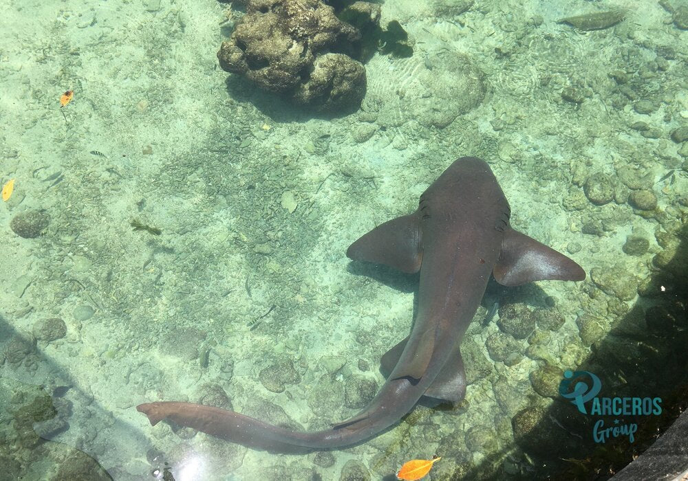 Tour Por Islas Del Rosario - Cartagena 15