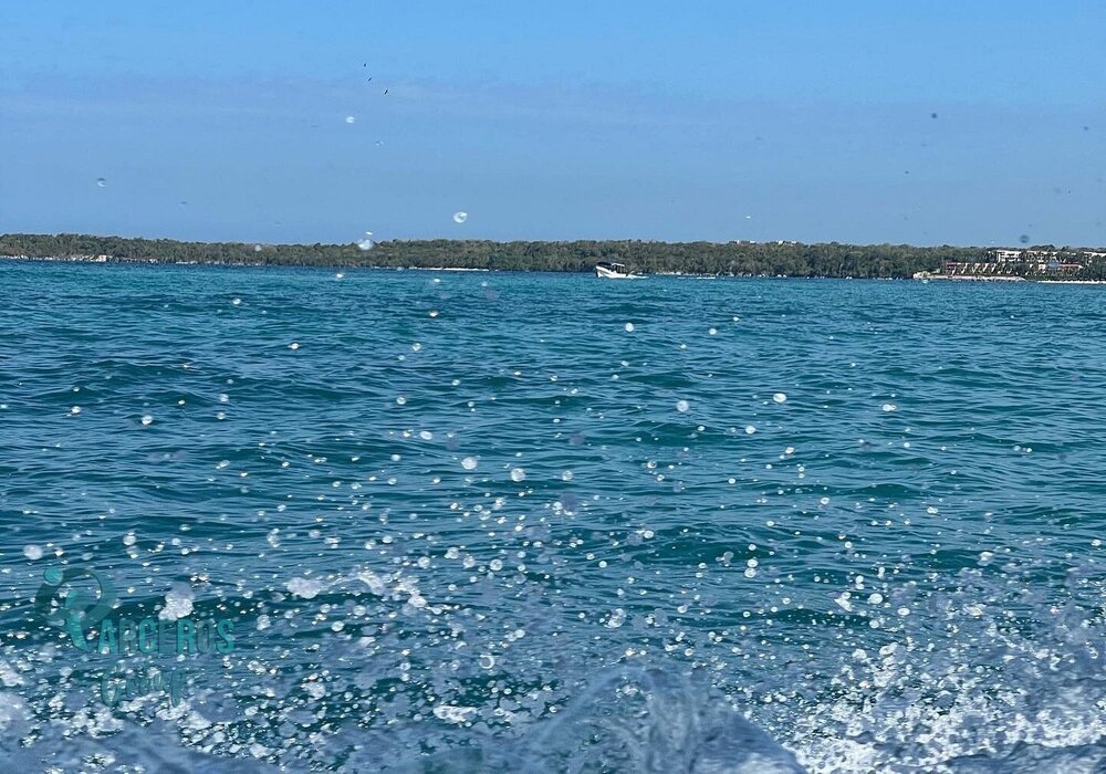 Tour Por Islas Del Rosario - Cartagena 16