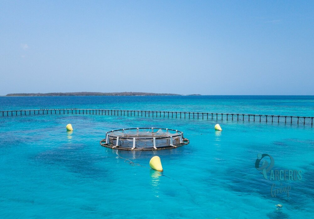 Tour Por Islas Del Rosario - Cartagena 6