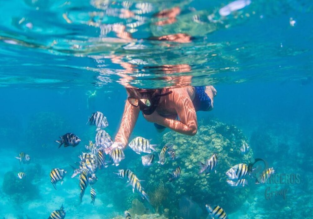 Tour Por Islas Del Rosario - Cartagena 7