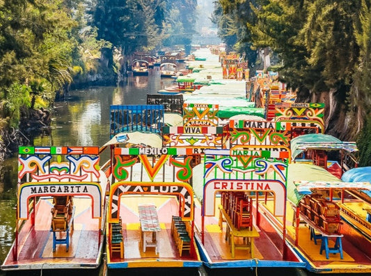 CITY TOUR + COYOACÁN & XOCHIMILCO