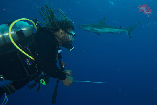 Minicurso De Buceo - Cartagena 4