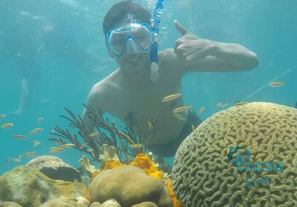 Tour 4 Islas Básico Incluido el Ingreso Al Acuario
