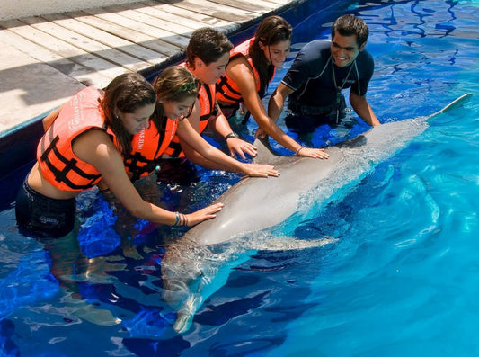 INTERACCION CON DELFINES Y VENTURA PARK CANCÚN
