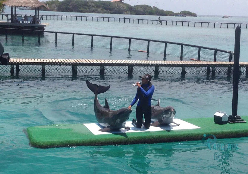 Tour 4 Islas Básico Incluido el Ingreso Al Acuario