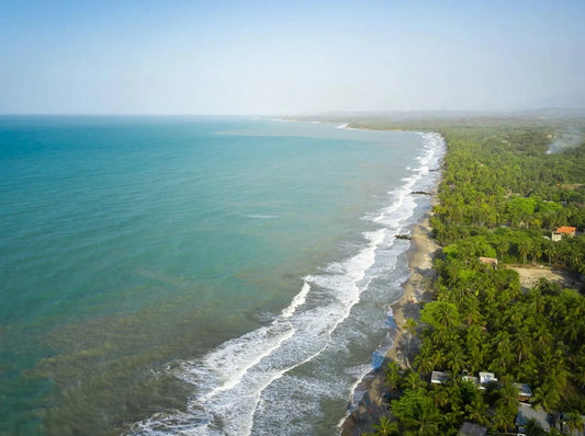 PALOMINO, PUEBLO KOGUI Y SEWIAKA