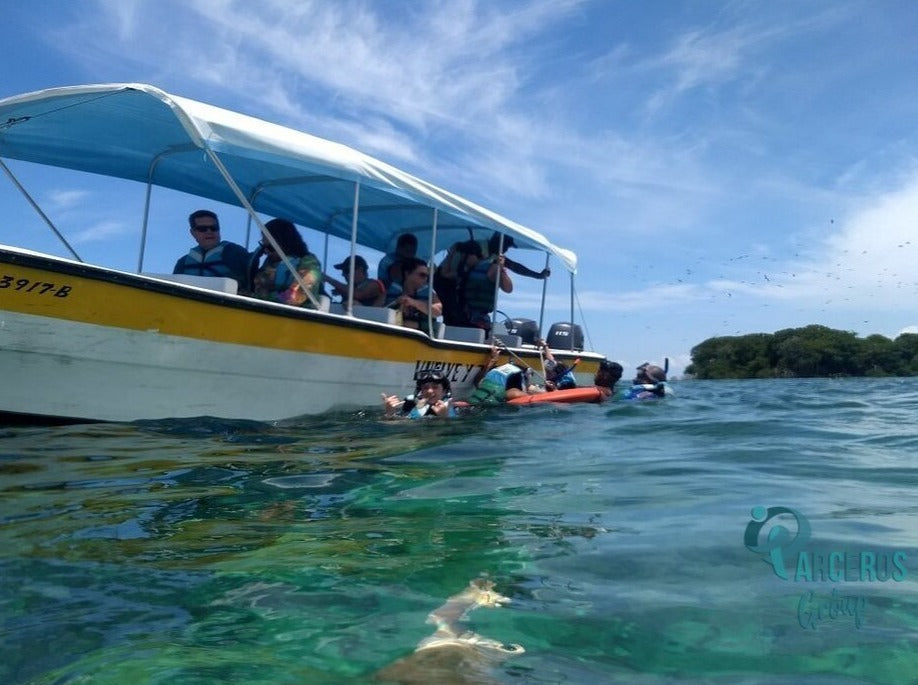 TOUR PLAYA TRANQUILA BARU + SNORKELING + PLANCTON