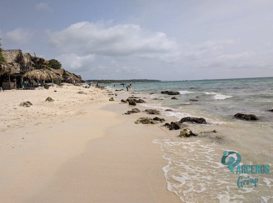 TOUR PLAYA TRANQUILA BARU + SNORKELING + PLANCTON