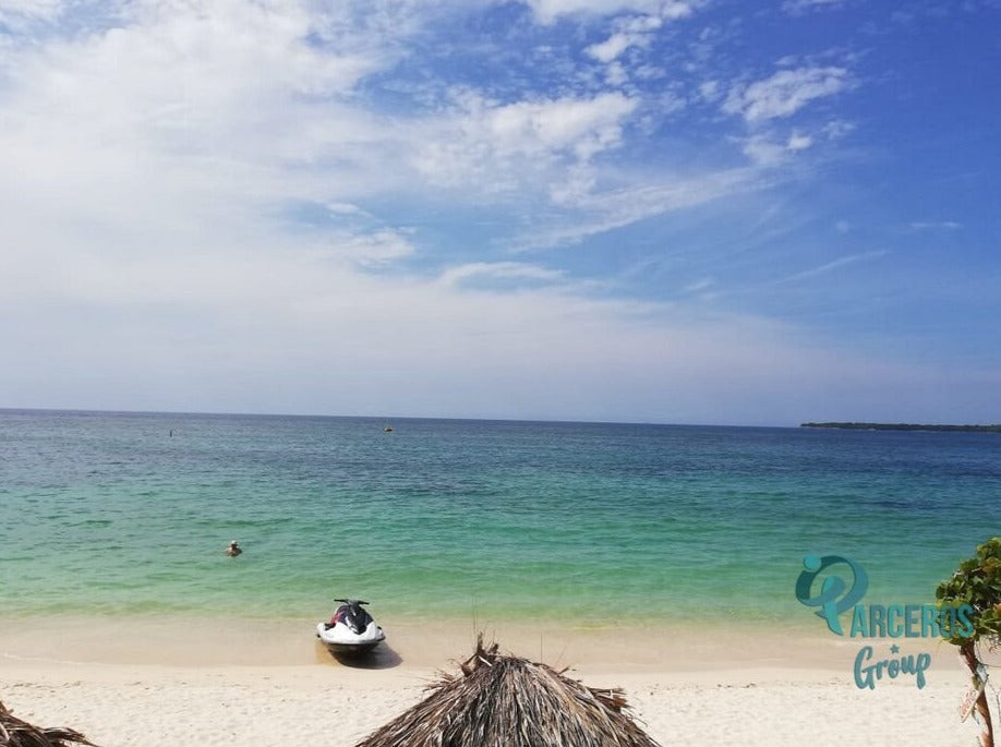 TOUR PLAYA TRANQUILA BARU + SNORKELING + PLANCTON