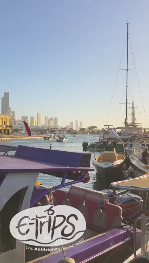 Tour Por La Bahía En Bote Deportivo - Cartagena 8