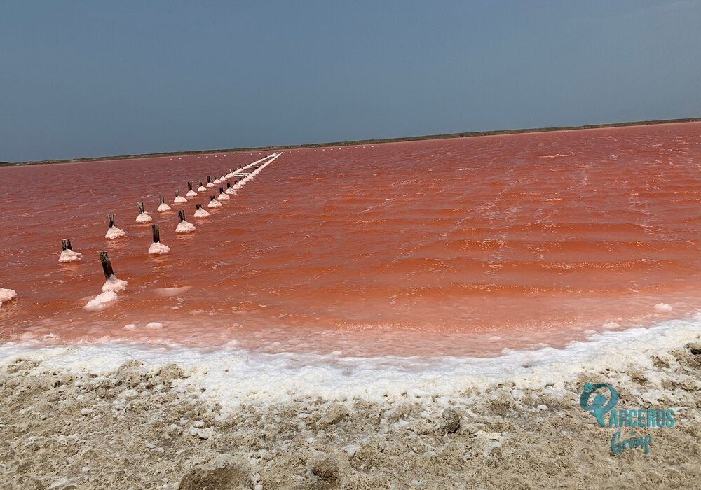 TOUR AL MAR ROSA y VOLCÁN DEL TOTUMO