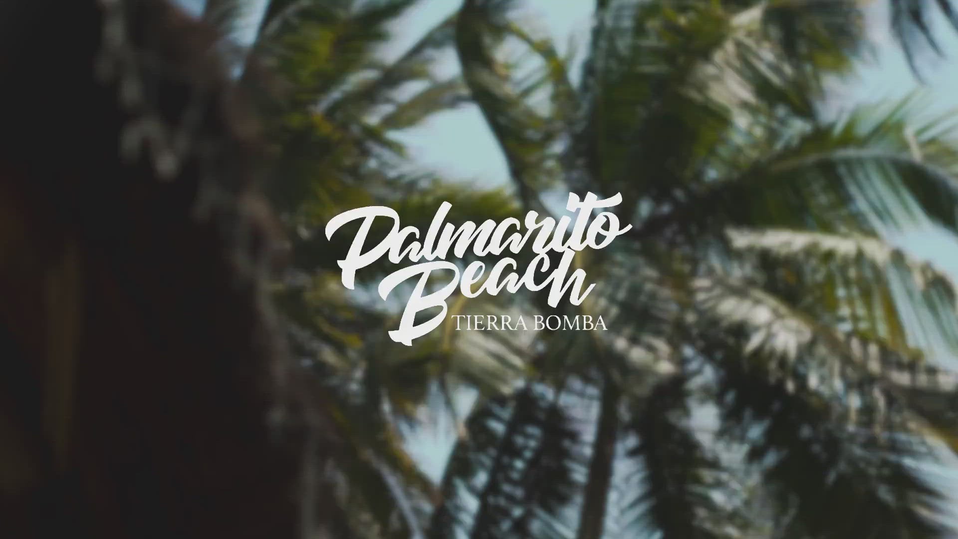 Pasadía En Palmarito Beach - Cartagena 15